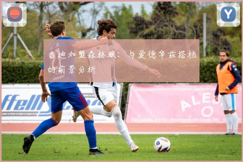 吉迪加盟森林狼:与爱德华兹搭档的前景分析