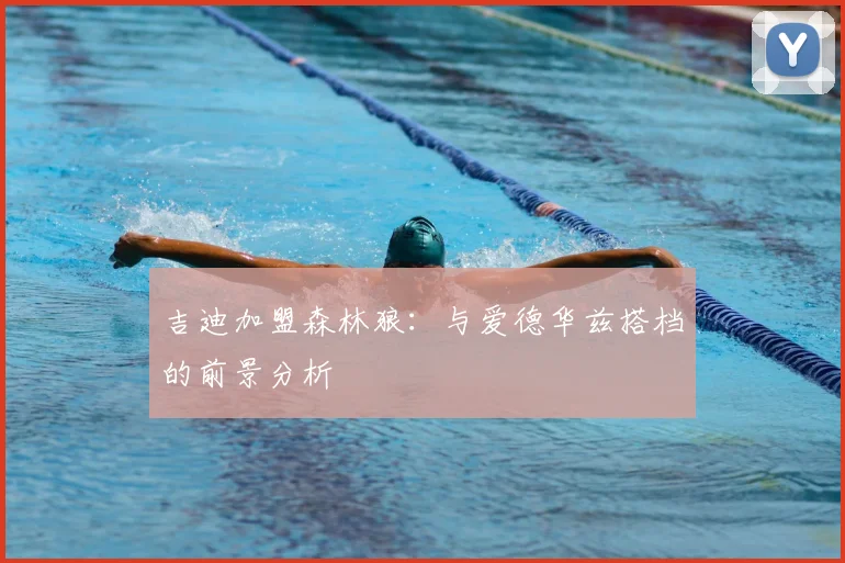 吉迪加盟森林狼:与爱德华兹搭档的前景分析